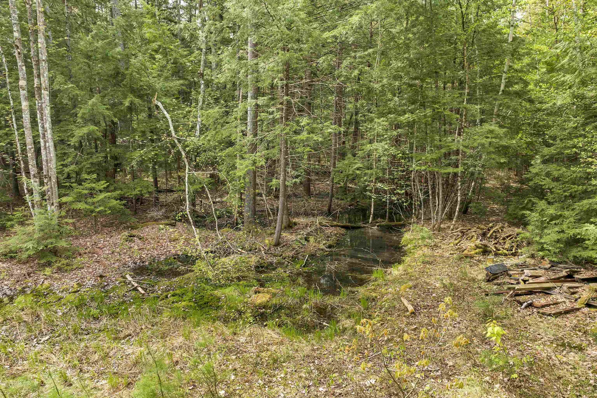 LOTS42,43,44,49 G Street Conway NH 03818