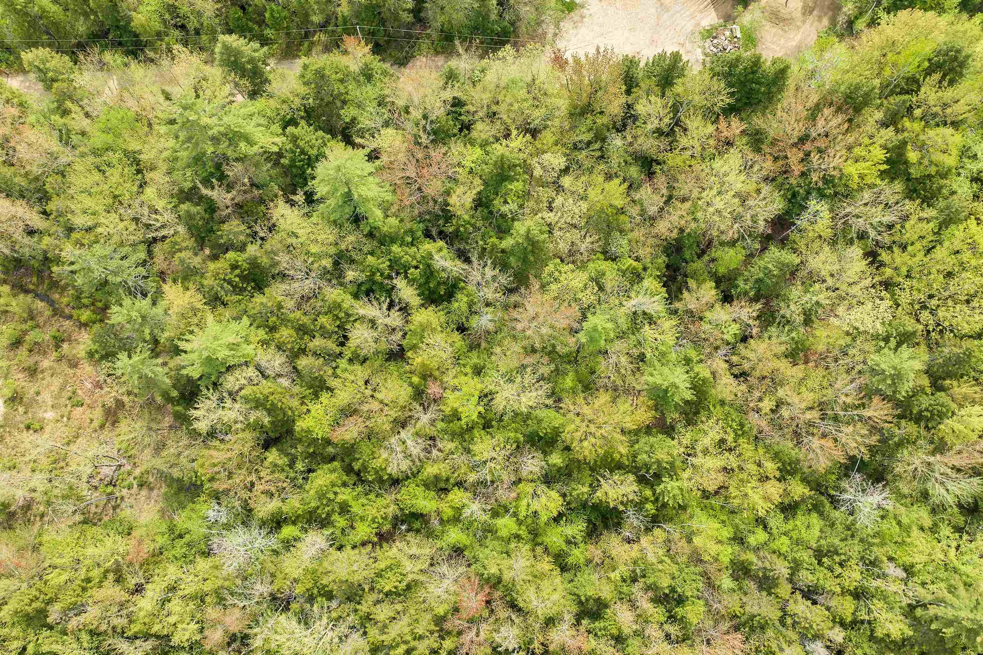 LOTS42,43,44,49 G Street Conway NH 03818