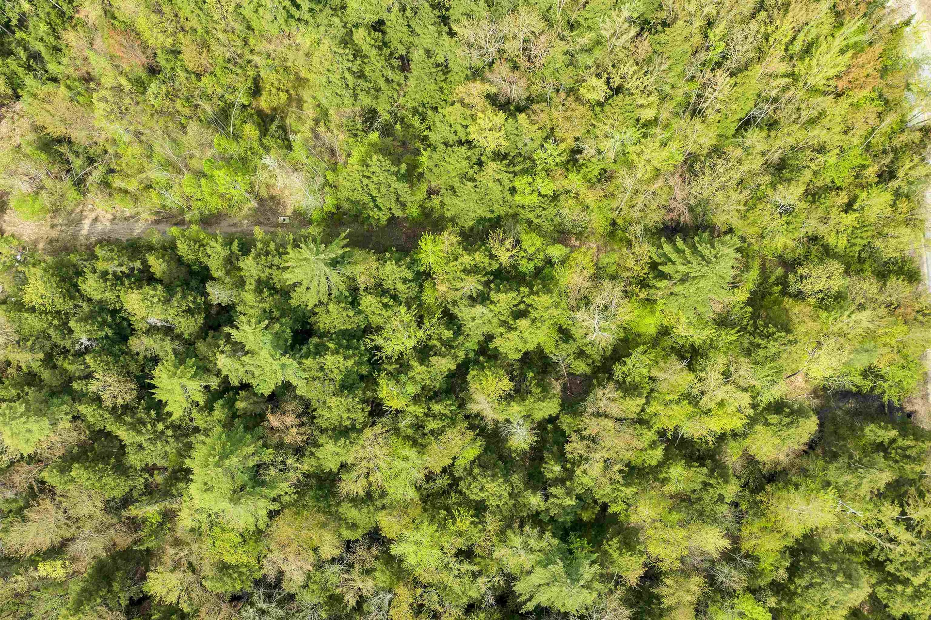 LOTS42,43,44,49 G Street Conway NH 03818