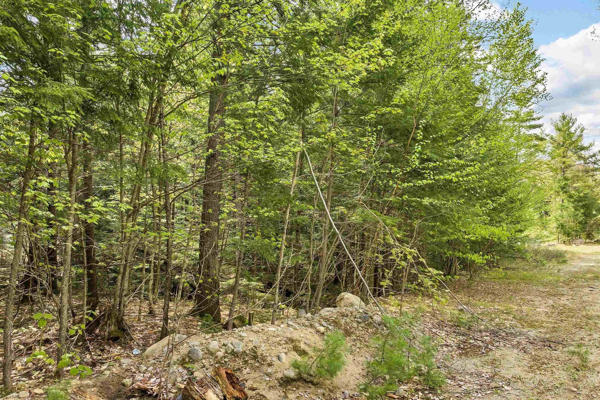 LOTS42,43,44,49 G Street Conway NH 03818