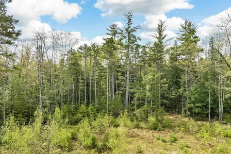 LOTS42,43,44,49 G Street Conway NH 03818