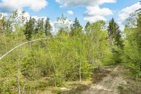 LOTS42,43,44,49 G Street Conway NH 03818