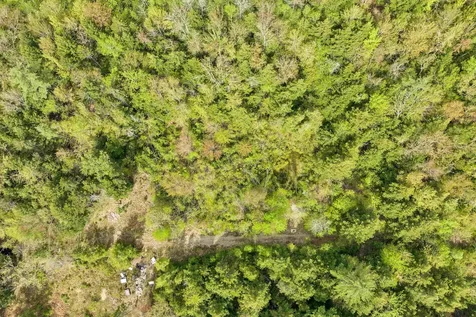 LOTS42,43,44,49 G Street Conway NH 03818