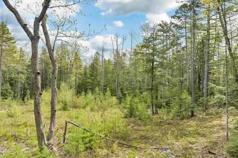 LOTS42,43,44,49 G Street Conway NH 03818