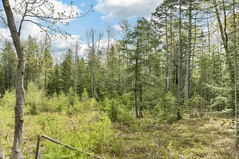 LOTS42,43,44,49 G Street Conway NH 03818