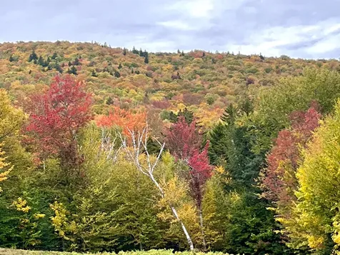 2401 North Hill Road Andover VT 05143