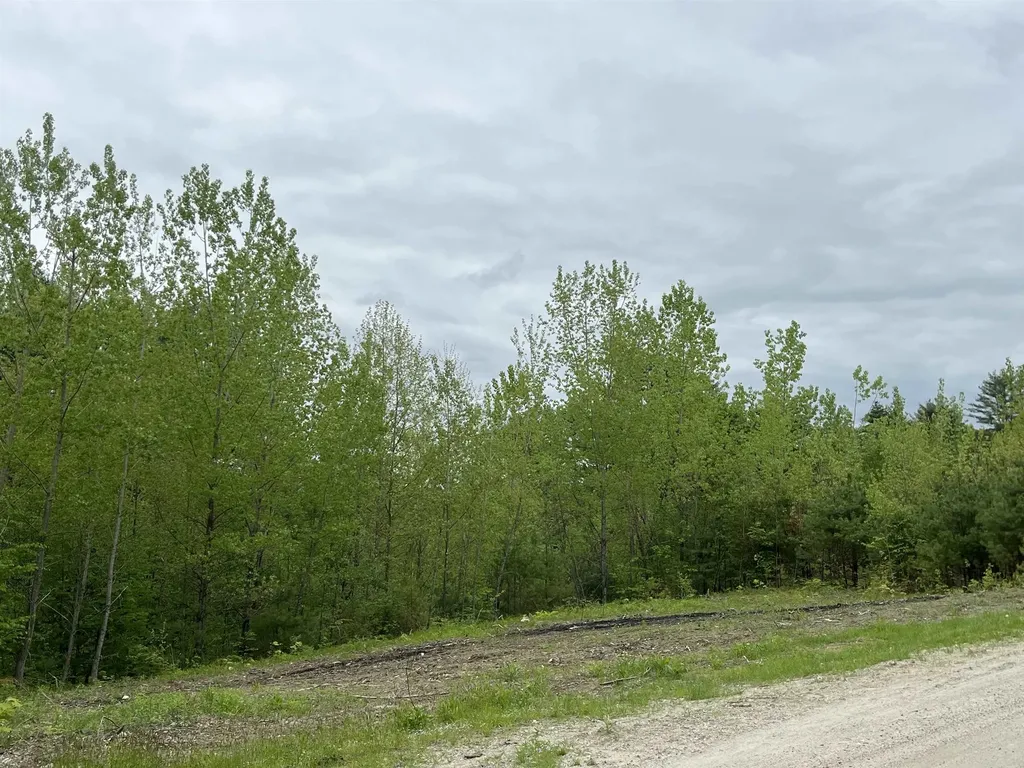 0 Remington Road Chester VT 05143