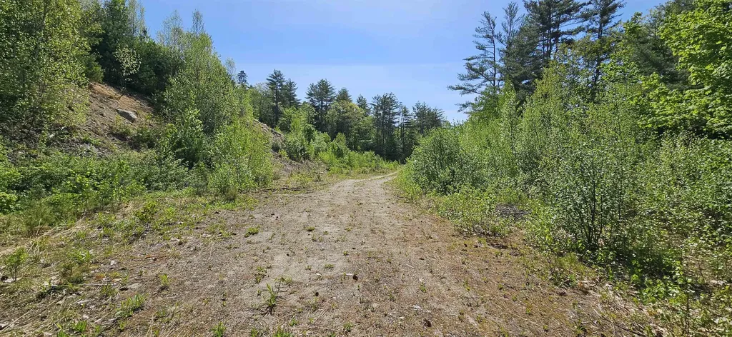 189 Us Route 4 Danbury NH 03230