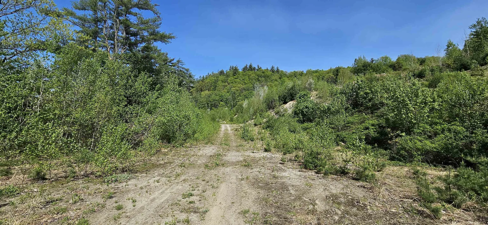 189 Us Route 4 Danbury NH 03230