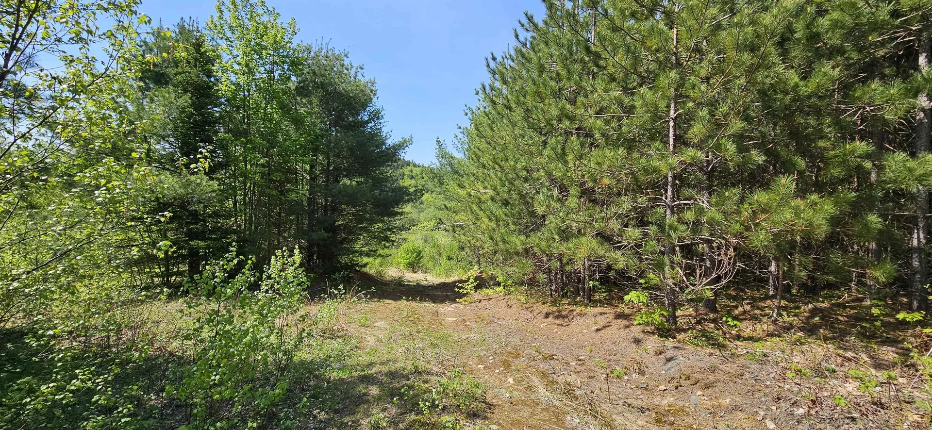 189 Us Route 4 Danbury NH 03230