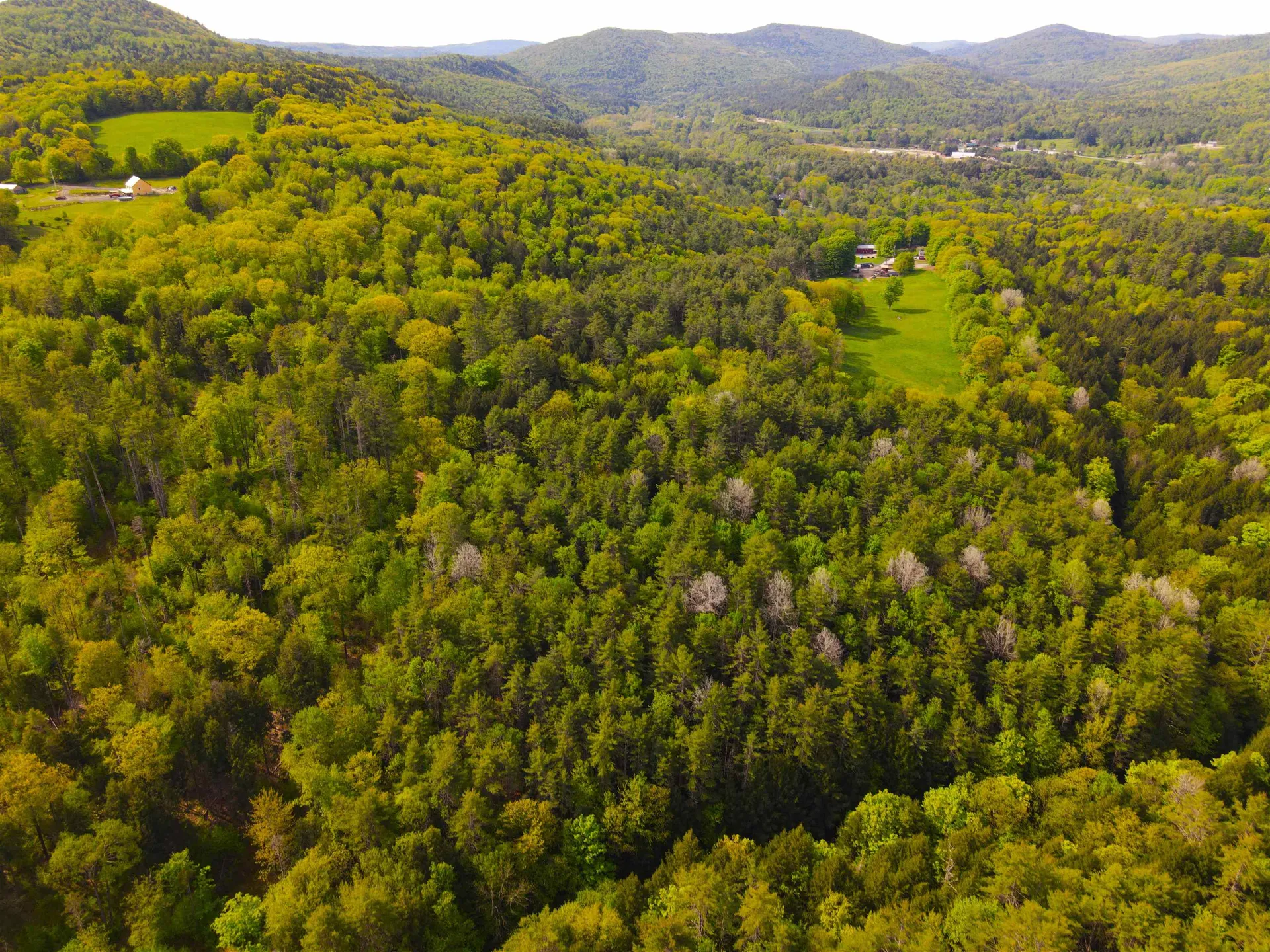 00 Pleasant Valley Road Springfield VT 05156