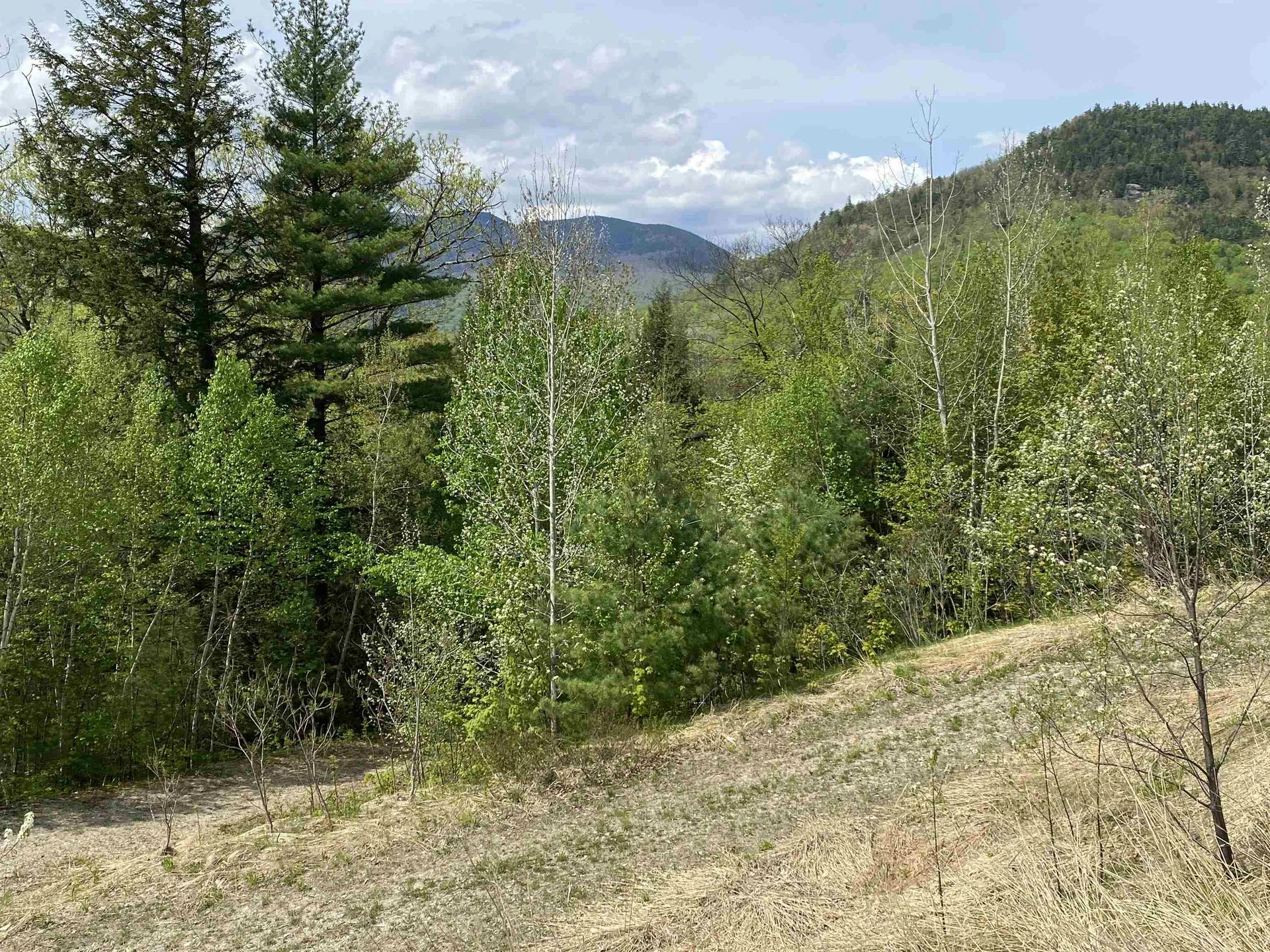 125 Parker Ridge Road Bartlett NH 03812