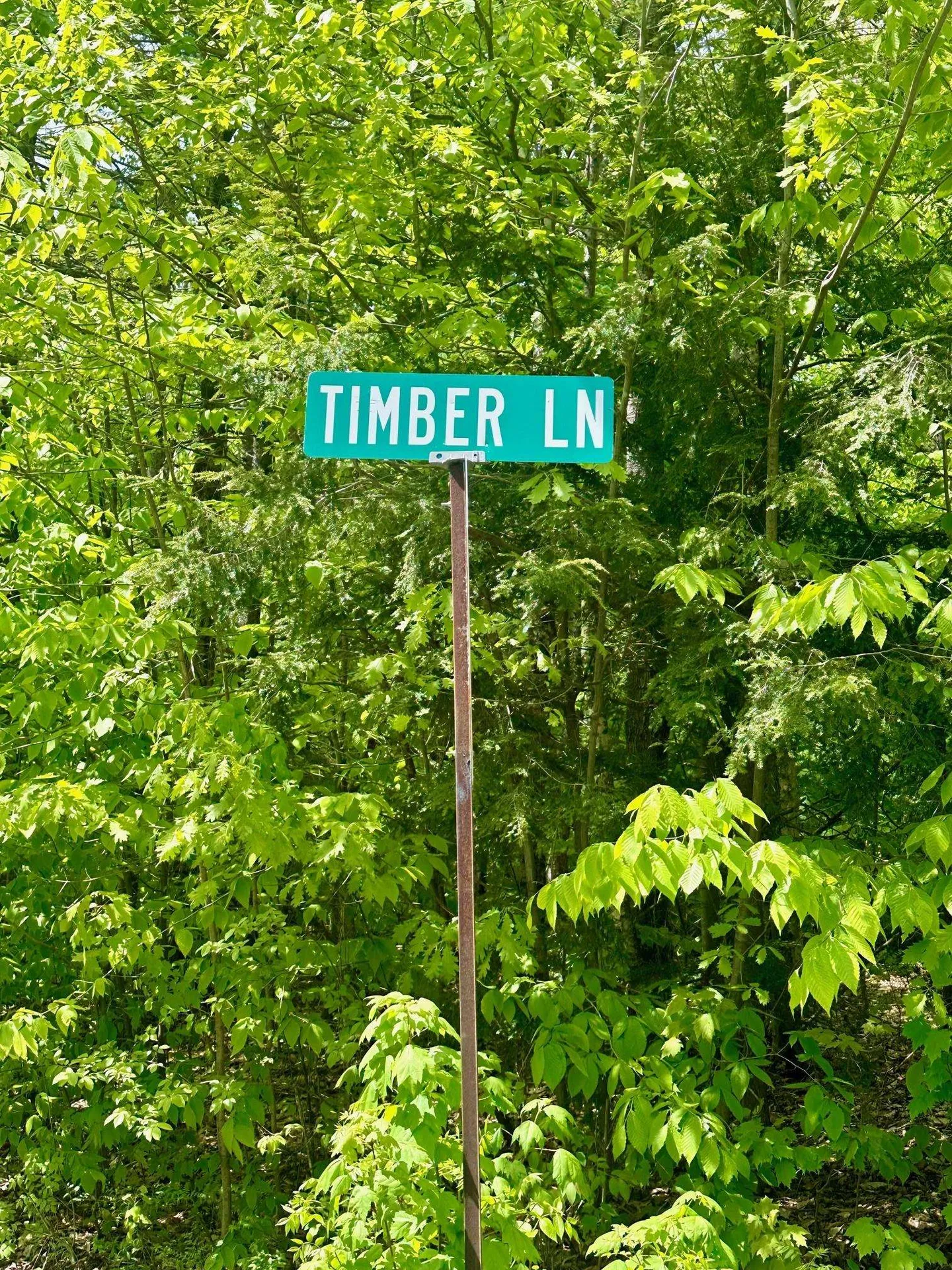 G6 Timber Lane Wardsboro VT 05355