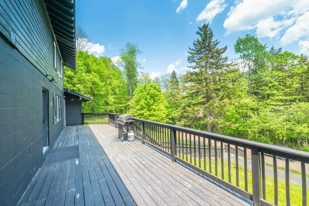 11 Waldwinkle Road Dover VT 05356