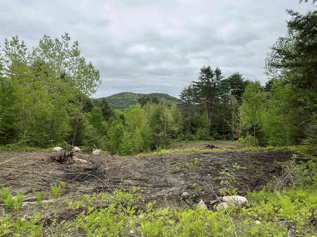 0 Remington Road Chester VT 05143