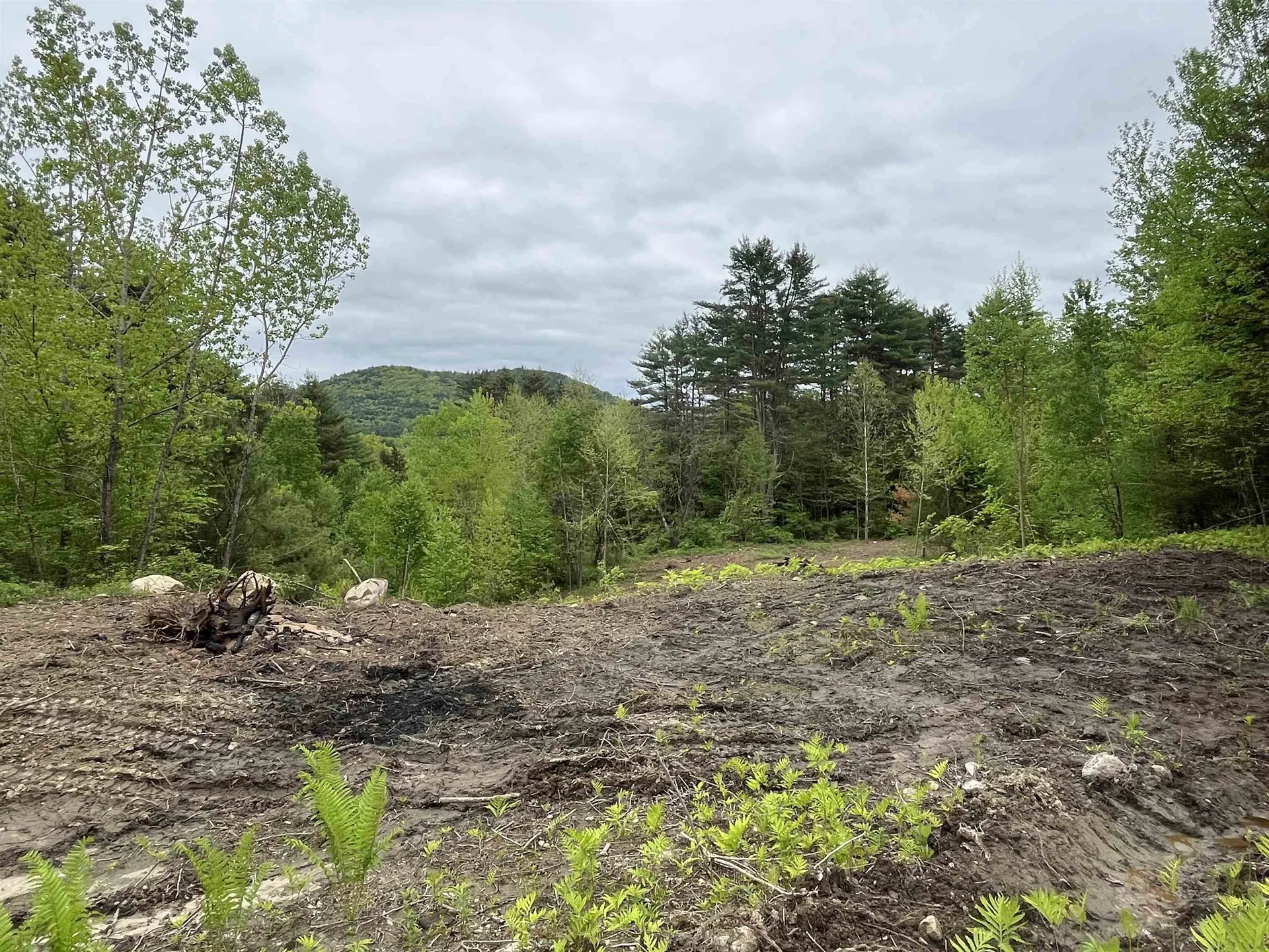 0 Remington Road Chester VT 05143