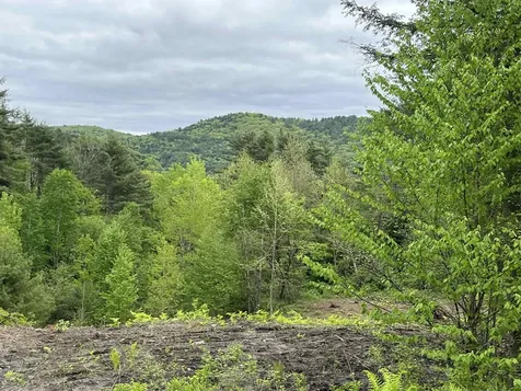 0 Remington Road Chester VT 05143
