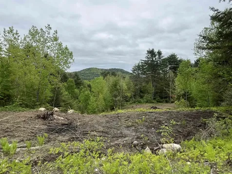 0 Remington Road Chester VT 05143