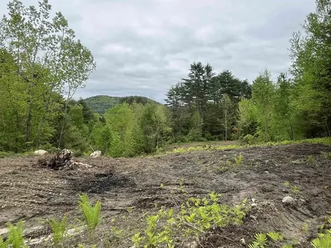 0 Remington Road Chester VT 05143