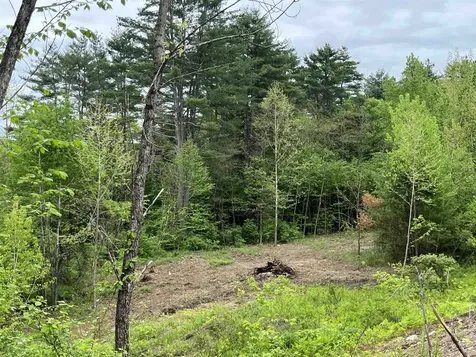 0 Remington Road Chester VT 05143