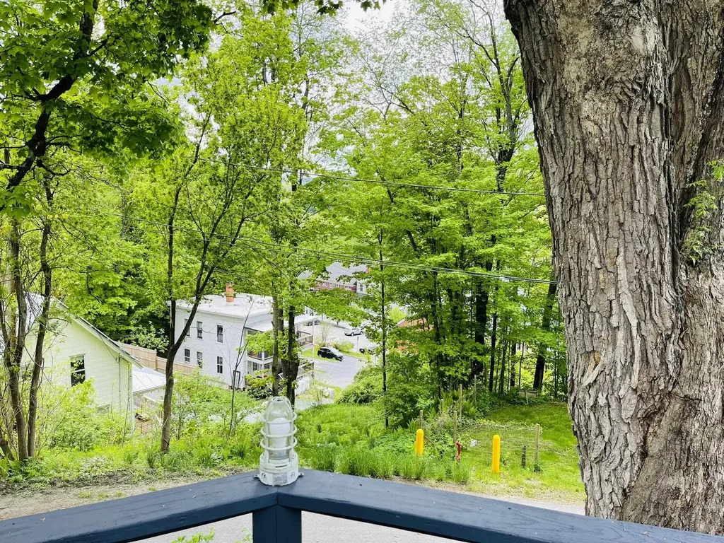 143 Cushing Drive Bethel VT 05032