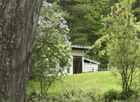 399 Depot Street Cavendish VT 05153