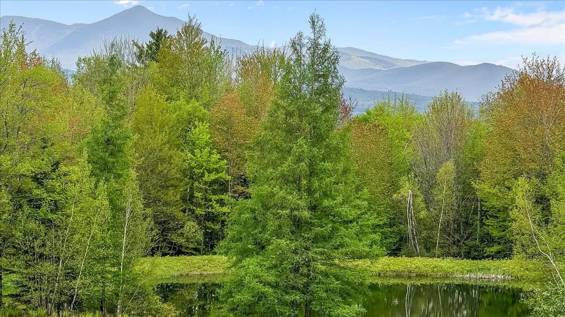 3874 Elmore Mountain Road Elmore VT 05657