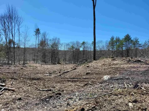 Lot 6 Eagle Pond Road Andover NH 03216