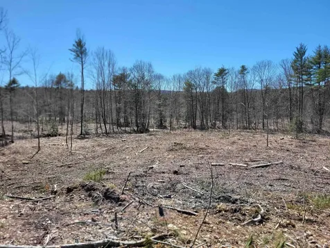 Lot 6 Eagle Pond Road Andover NH 03216