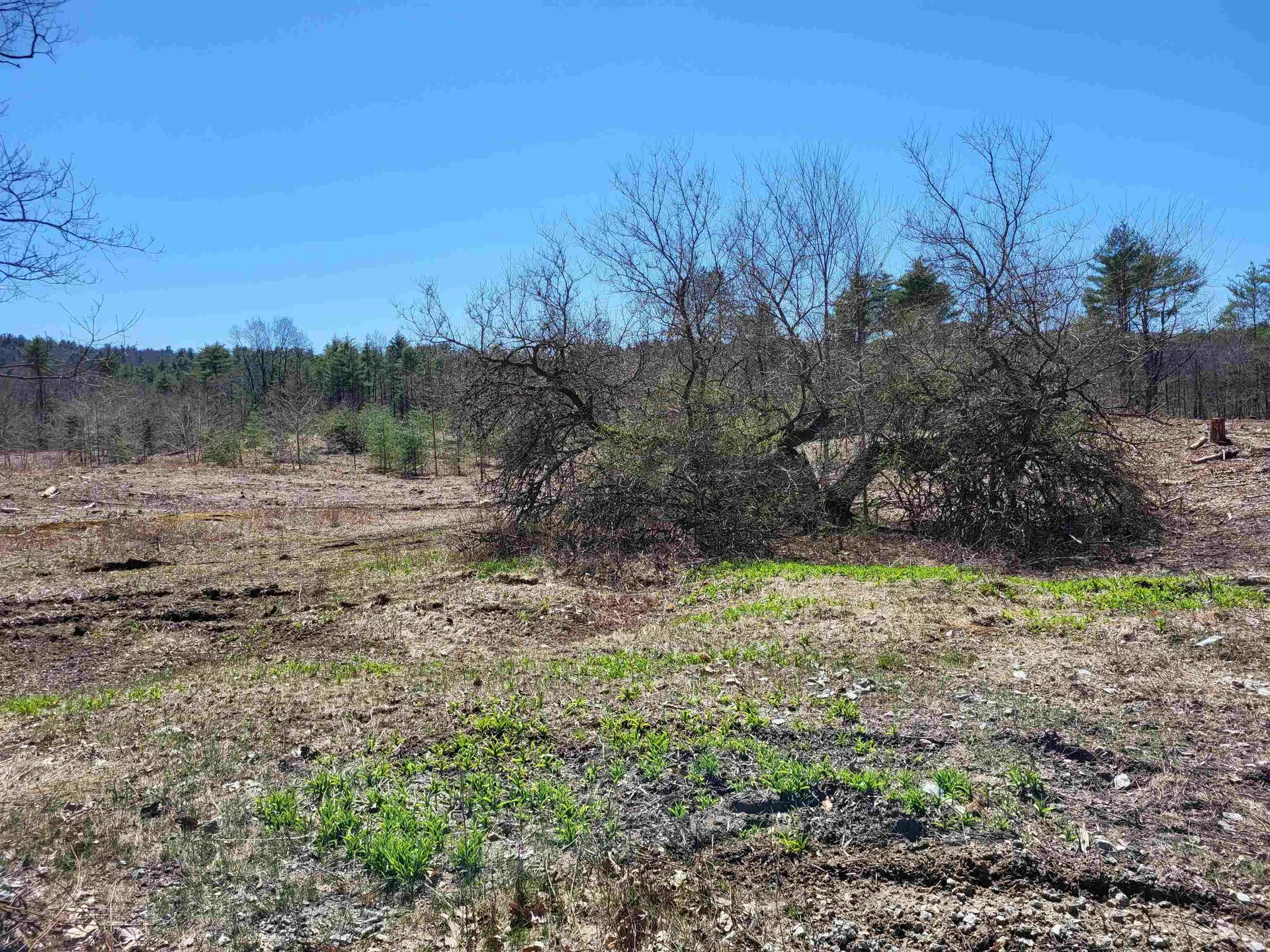 Lot 4 Depot Street Andover NH 03216