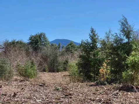 Lot 4 Depot Street Andover NH 03216