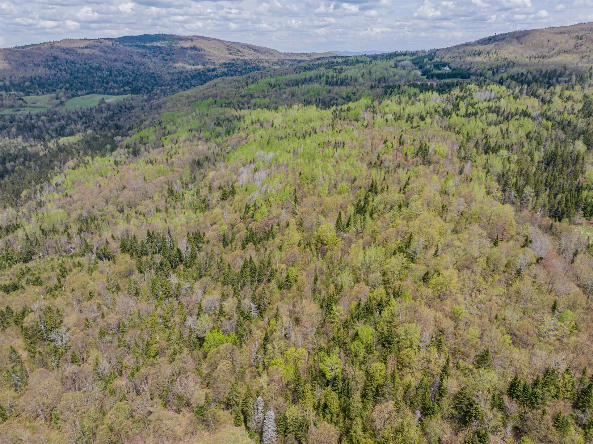 Lot 5 Holden Hill Road Stewartstown NH 03576