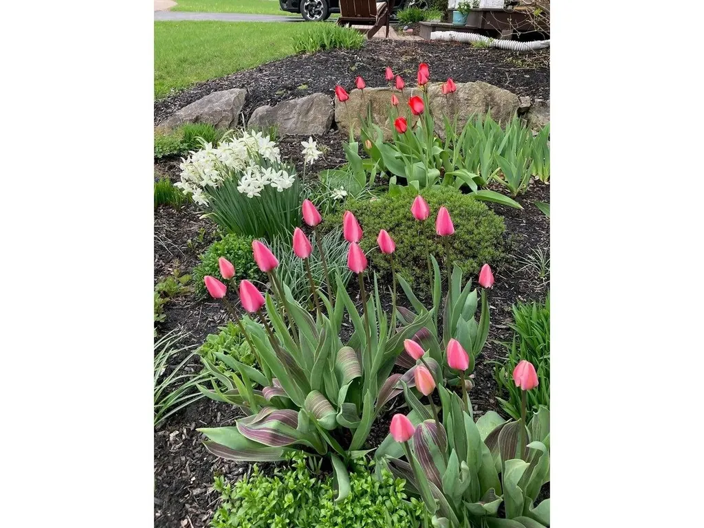25 Barberry Lane Hinesburg VT 05461