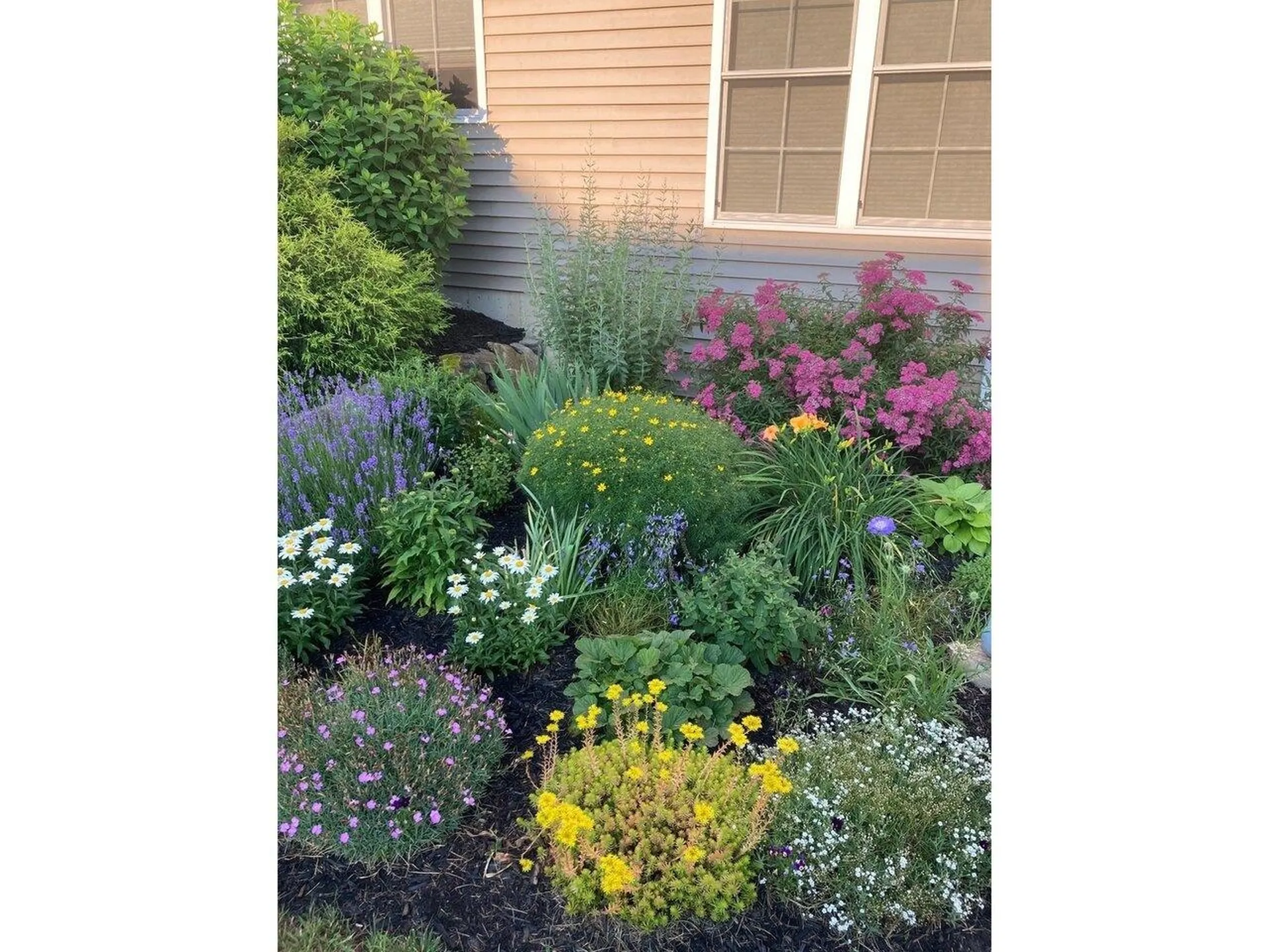 25 Barberry Lane Hinesburg VT 05461