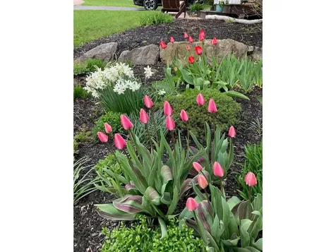 25 Barberry Lane Hinesburg VT 05461
