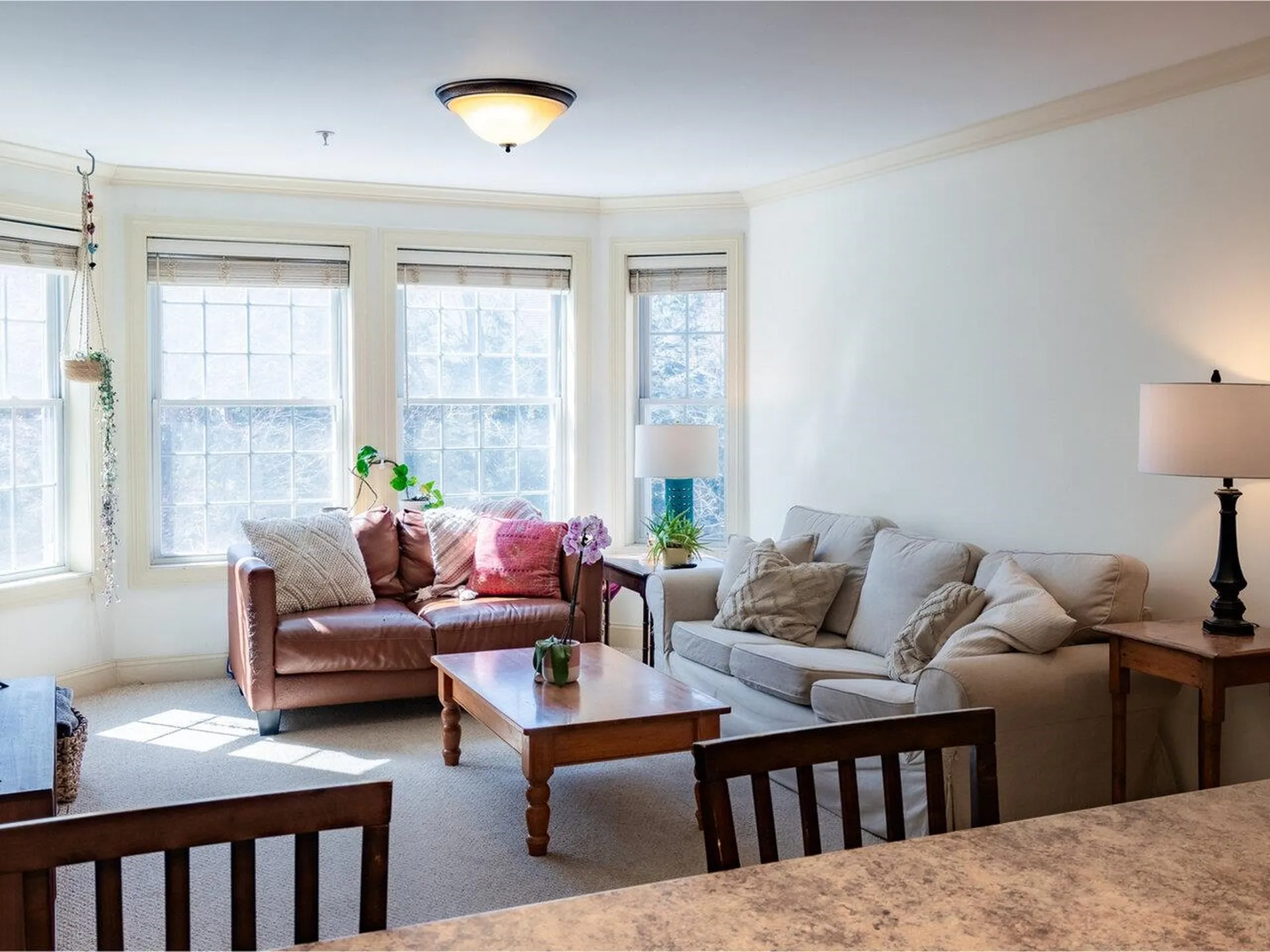 81 South Williams Street Burlington VT 05401