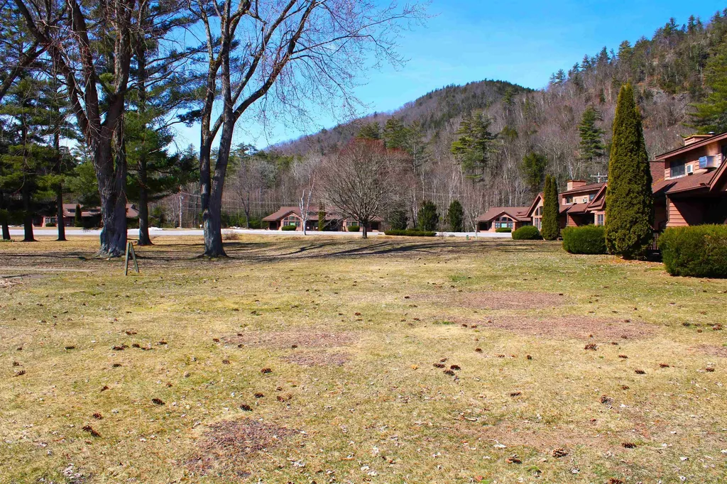 20 Jack O' Lantern Drive Woodstock NH 03293