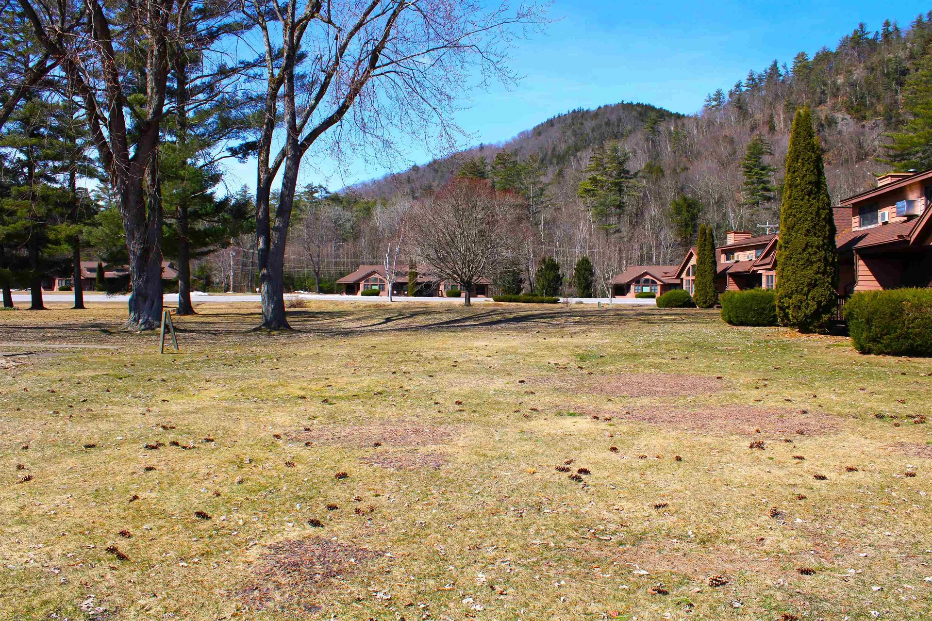 20 Jack O' Lantern Drive Woodstock NH 03293