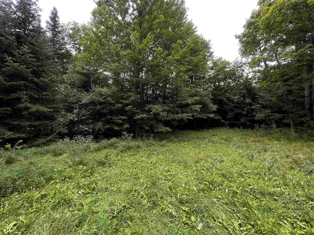 131 Lushas Acres Lane Shrewsbury VT 05738