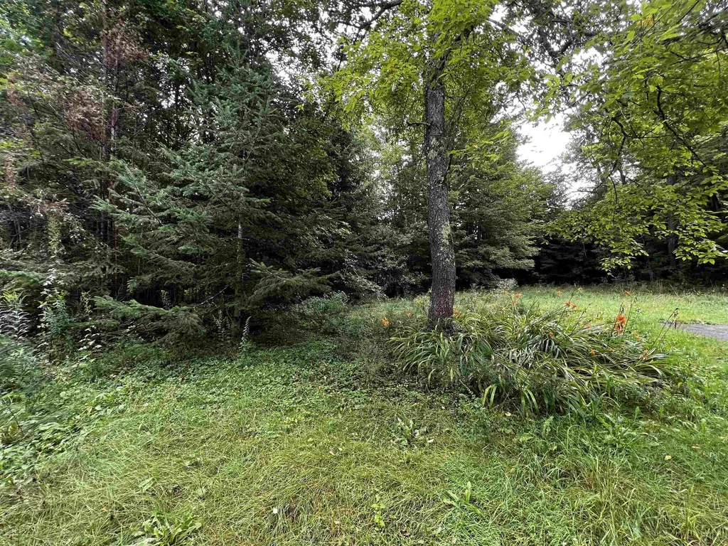 131 Lushas Acres Lane Shrewsbury VT 05738