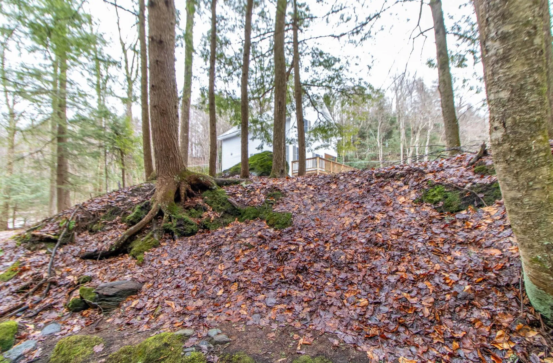 216 Lucier Road Jay VT 05859