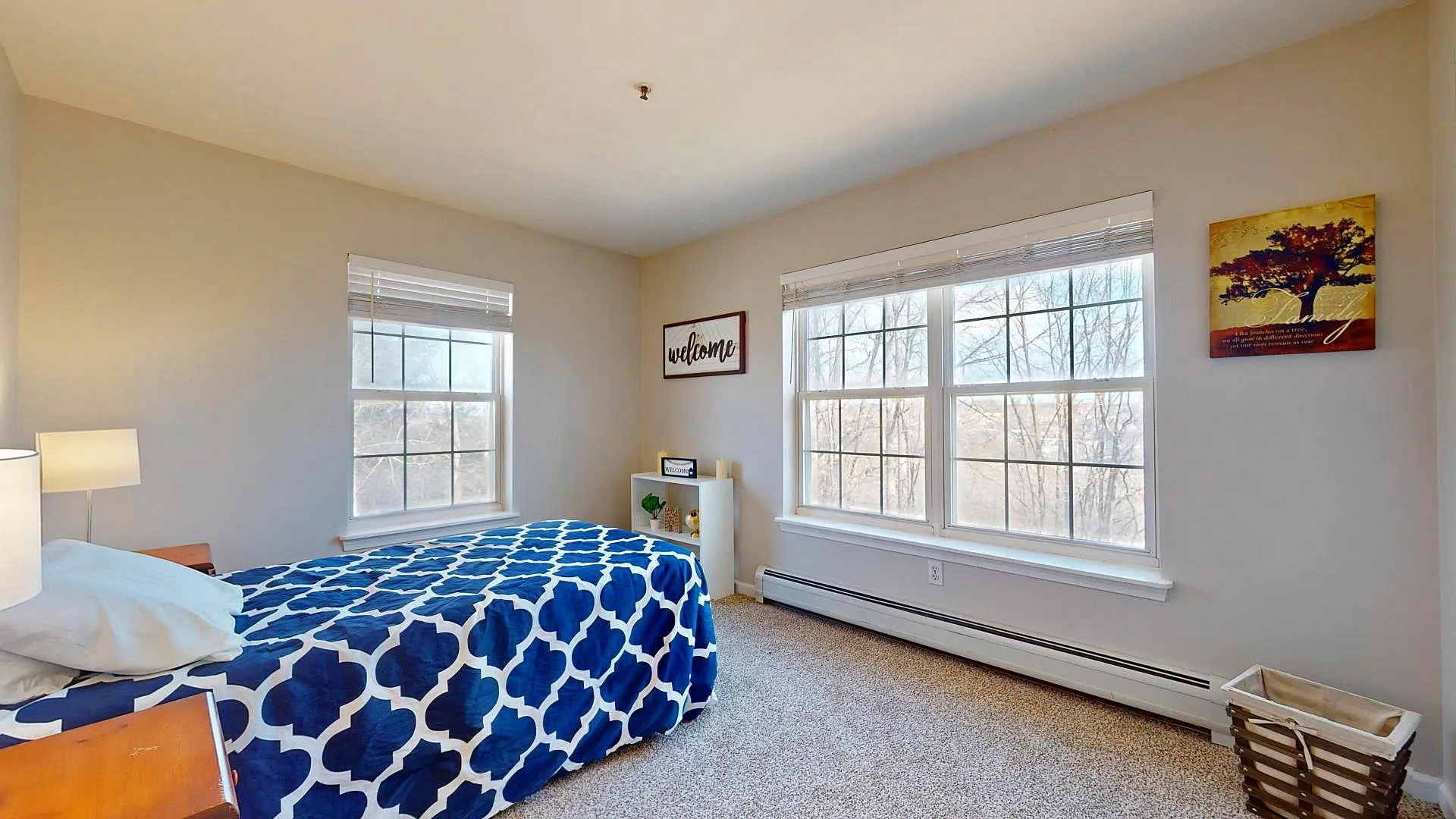 313 Hildred Drive Burlington VT 05401