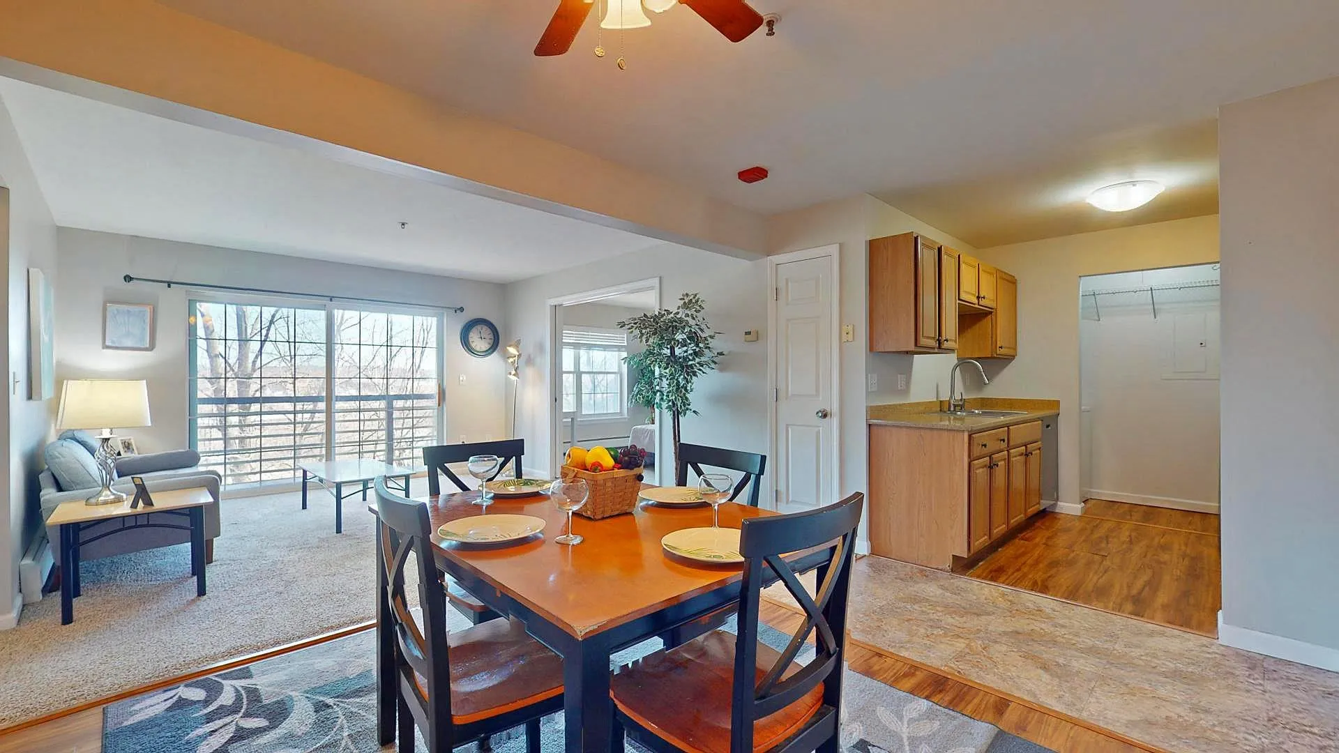 313 Hildred Drive Burlington VT 05401