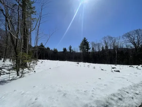 5 Catey Rose Lane Stratton VT 05360