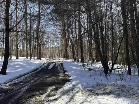 East Hill And Meadow Road Ludlow VT 05149