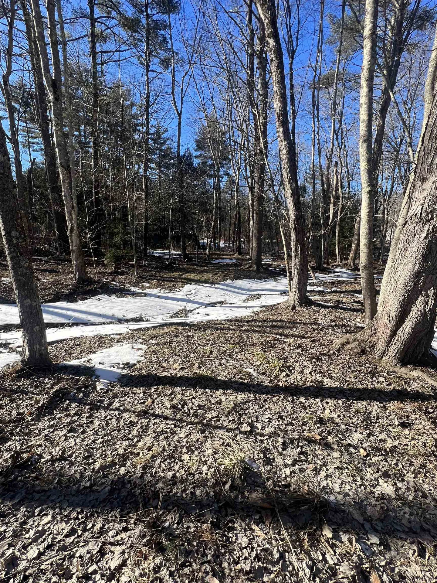 102-00051 Berry River Road Barrington NH 03825