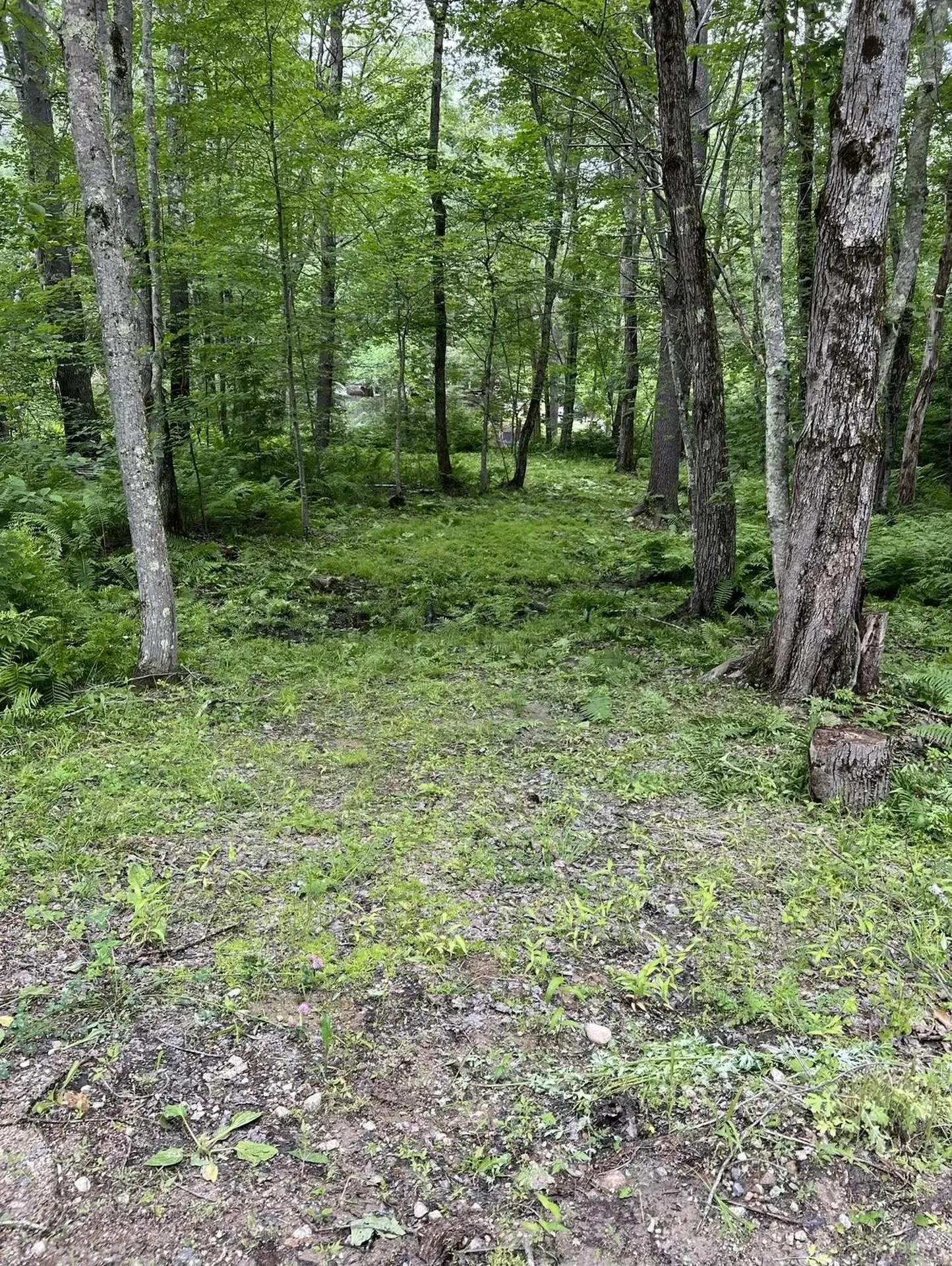 102-00051 Berry River Road Barrington NH 03825