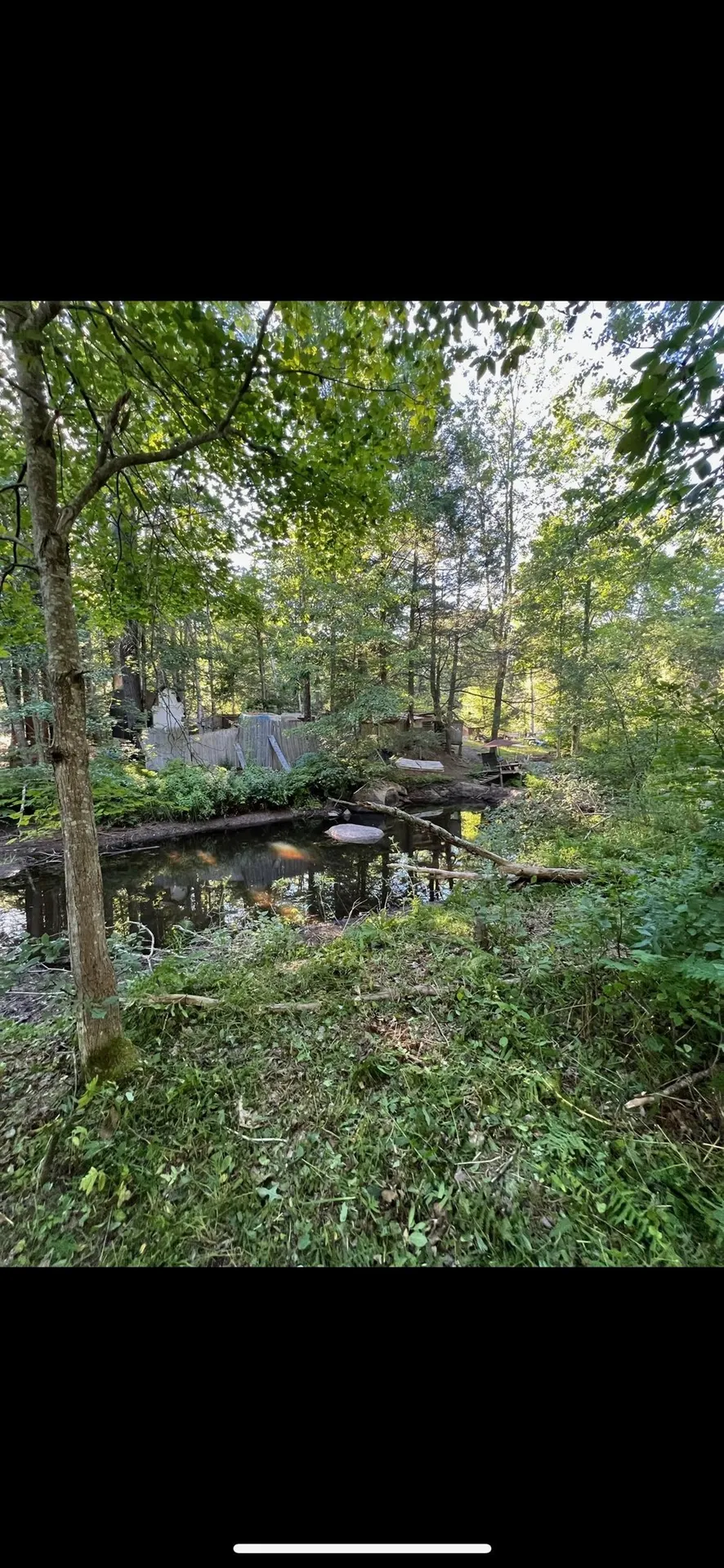 102-00051 Berry River Road Barrington NH 03825