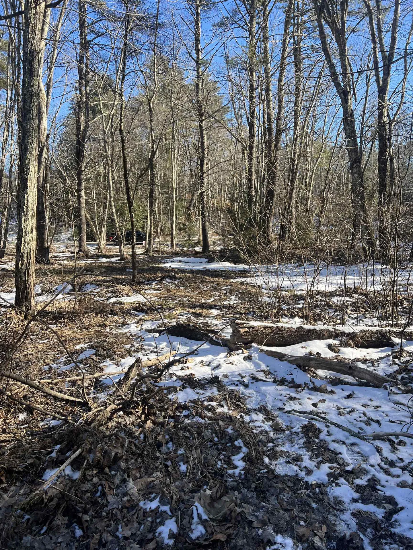 102-00051 Berry River Road Barrington NH 03825