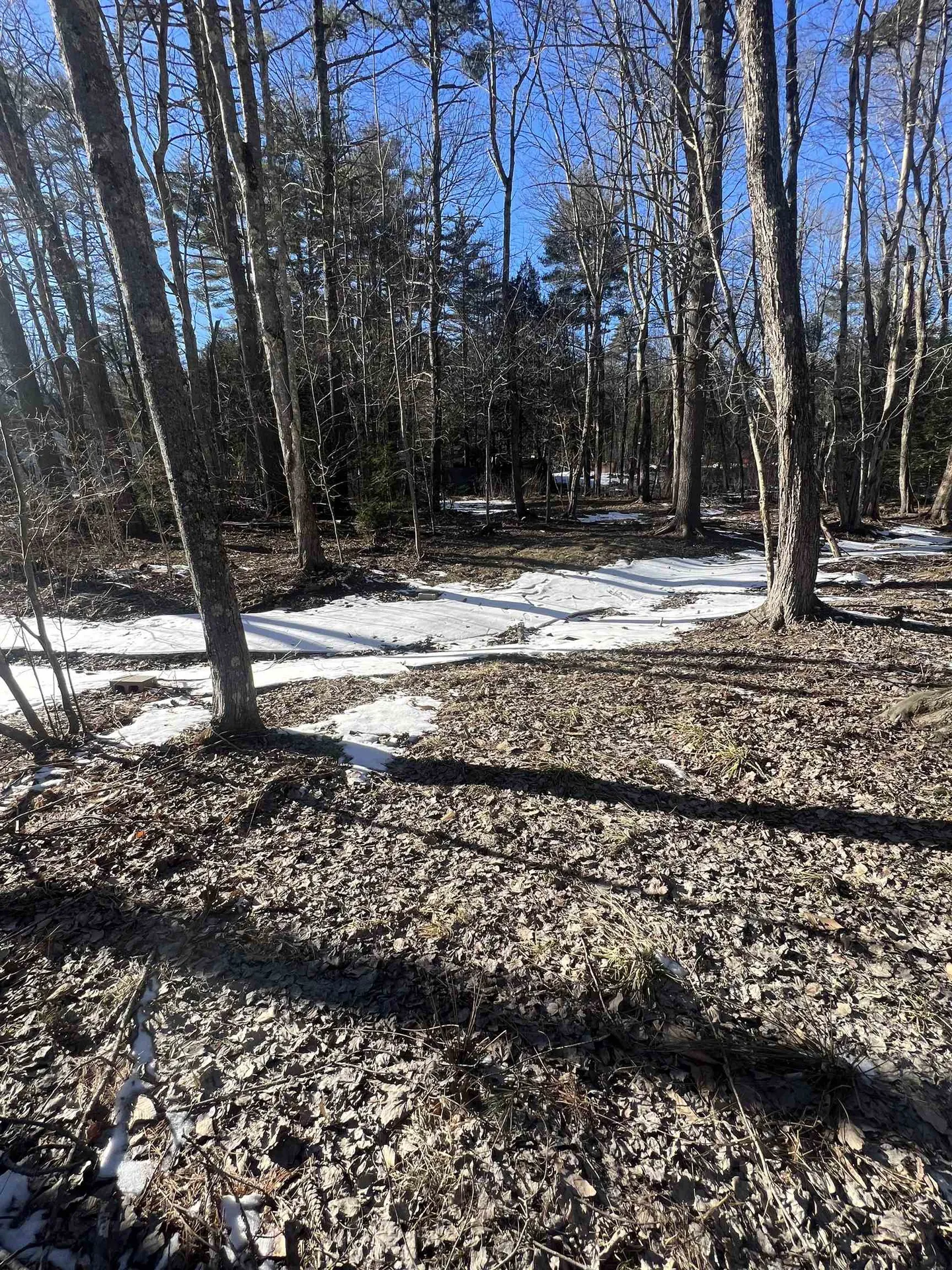 102-00051 Berry River Road Barrington NH 03825